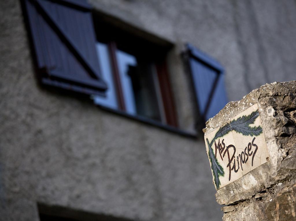 Mas Pinoses Guest House Les Llosses Екстериор снимка